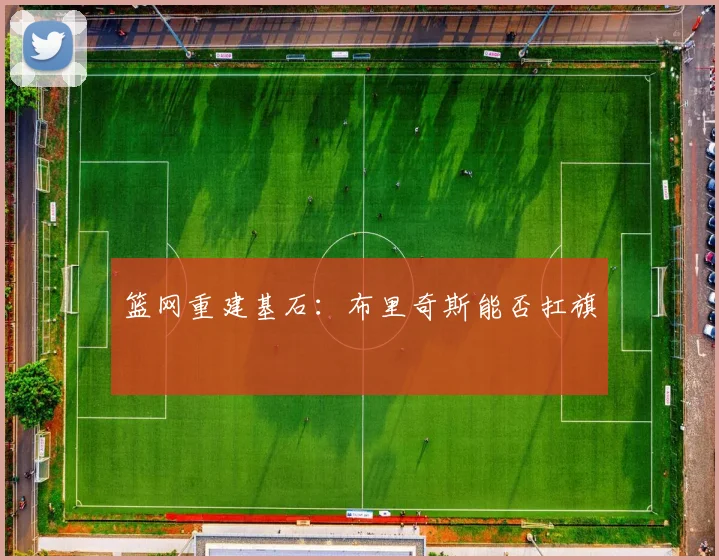 篮网重建基石：布里奇斯能否扛旗