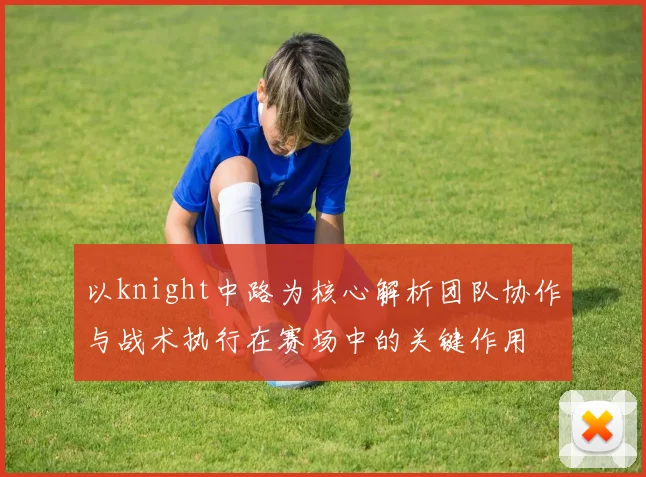 以knight中路为核心解析团队协作与战术执行在赛场中的关键作用