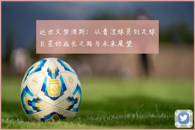 达尔文努涅斯：从青涩球员到足球巨星的成长之路与未来展望